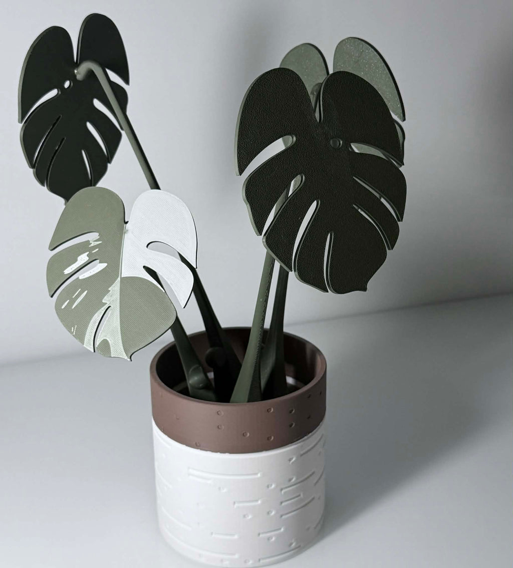 Potted green/white monstera albo plant in brown and white wood like pot.