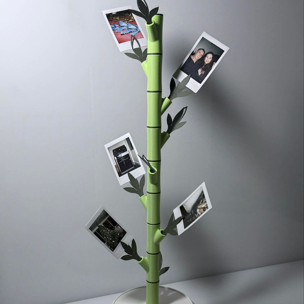 bamboo shoot polaroid holder with pictures in the offshoots in a white vase