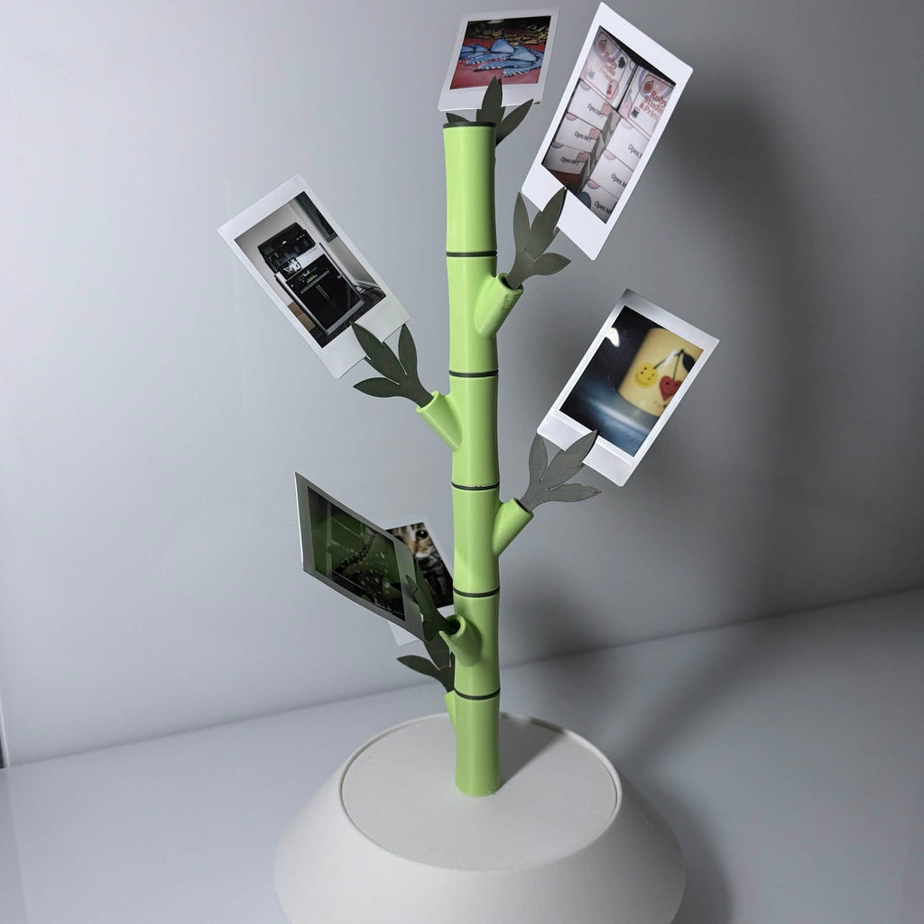bamboo shoot polaroid holder with pictures in the offshoots in a white vase