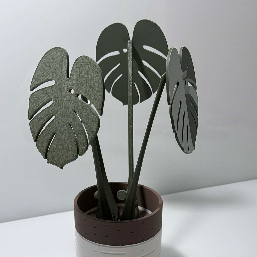 Potted green/white monstera albo plant in brown and white wood like pot.