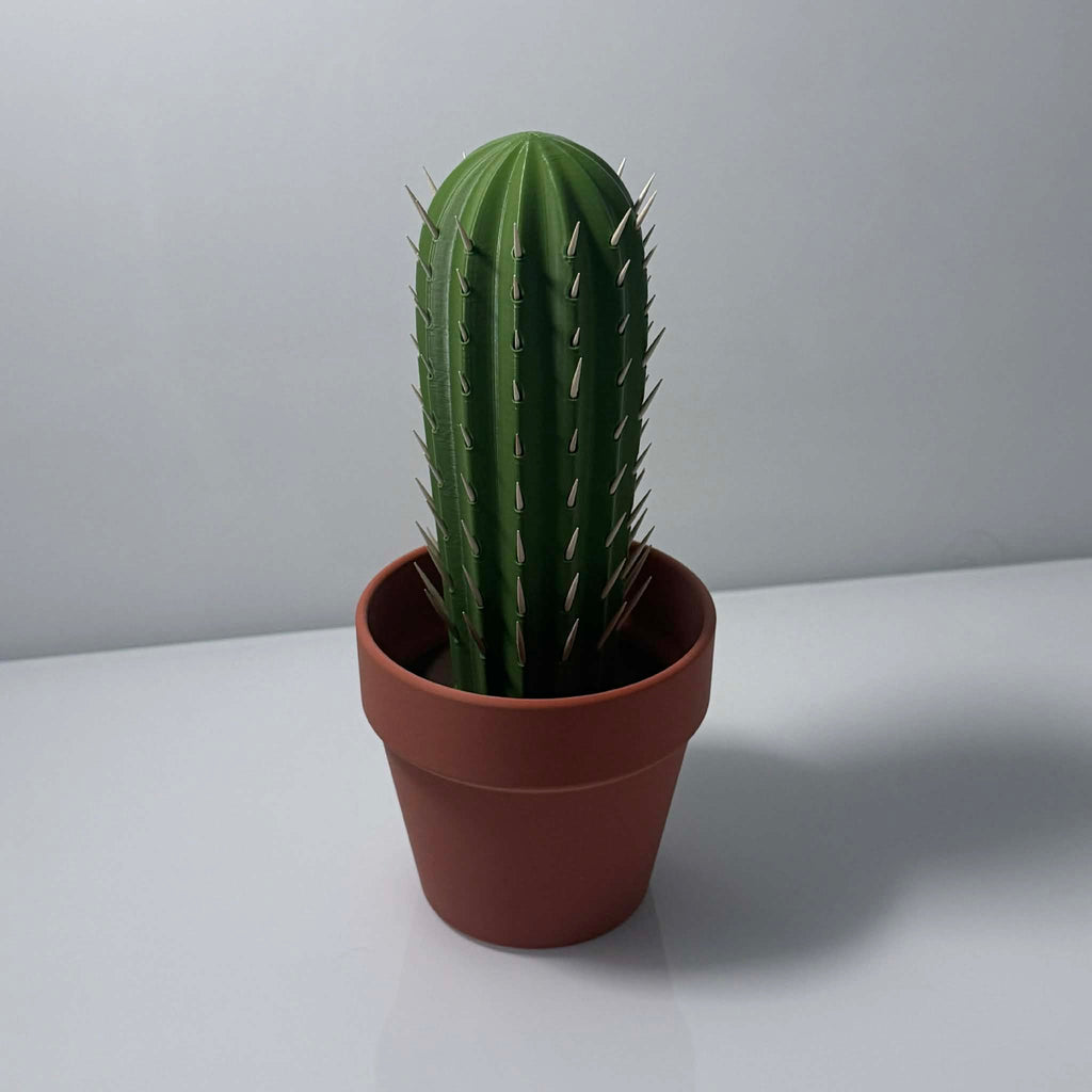 Terracotta pot with green cactus filled with toothpicks sticking out