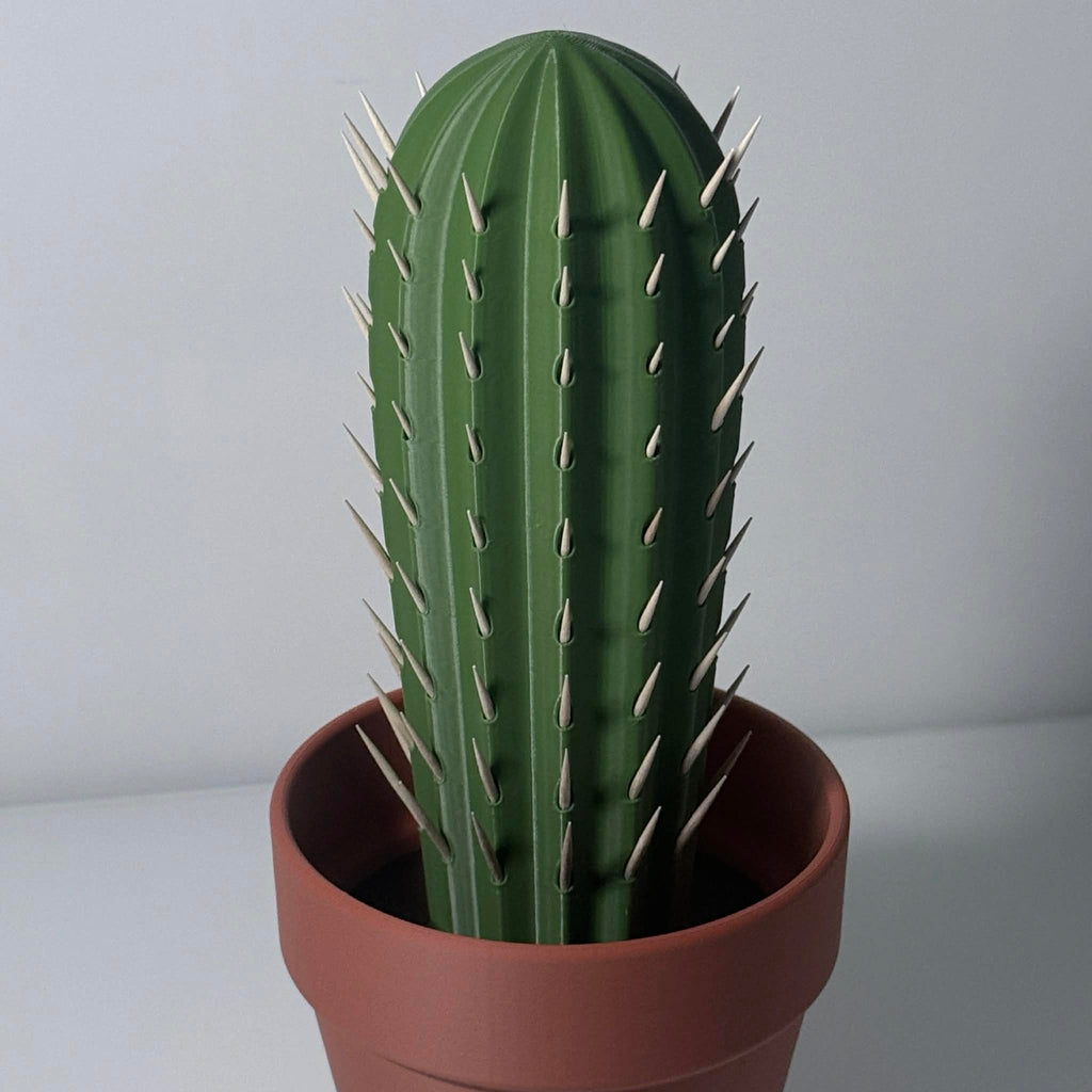 Terracotta pot with green cactus filled with toothpicks sticking out