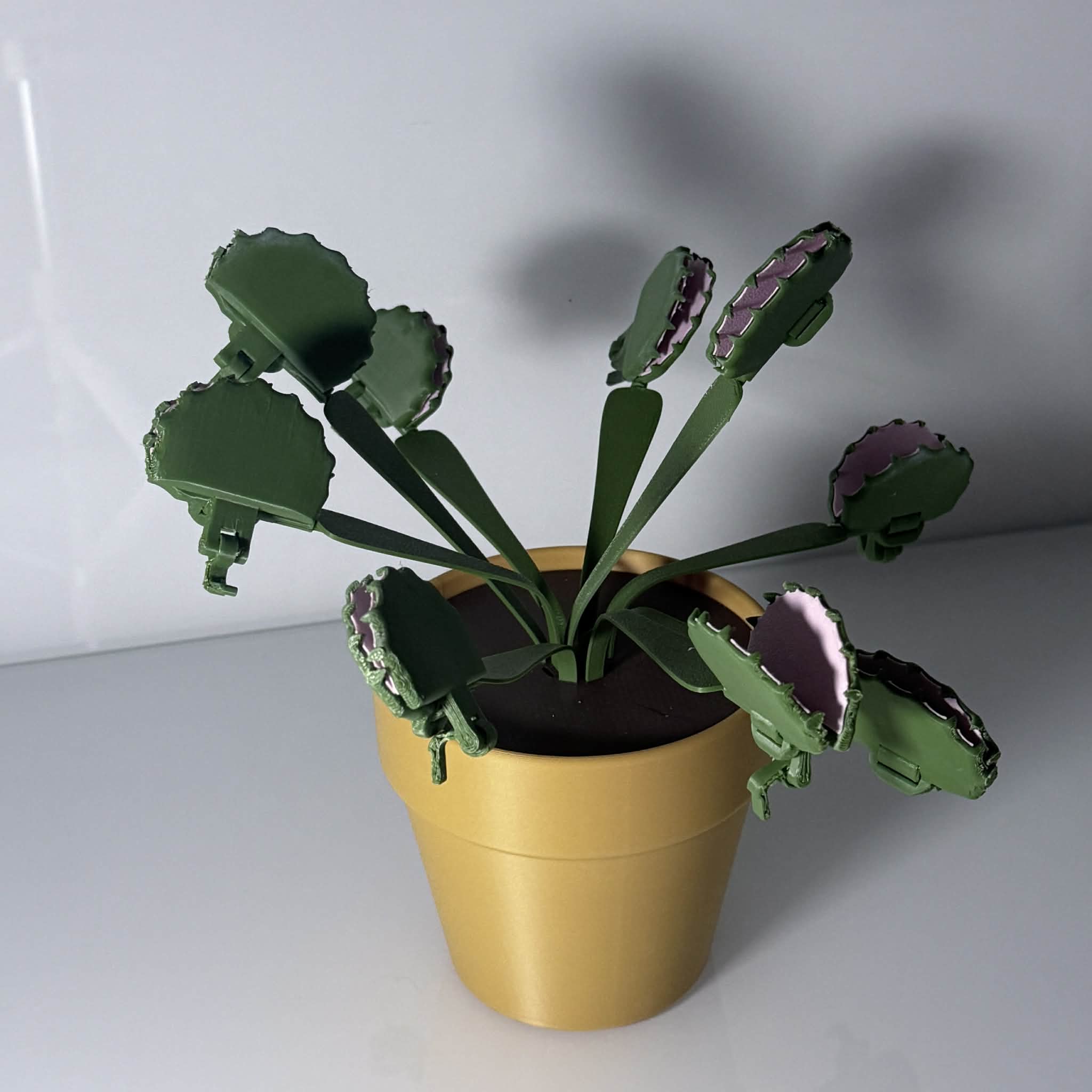 Venus fly trap plant in a gold pot with the fly traps doubling as detachable bag clips