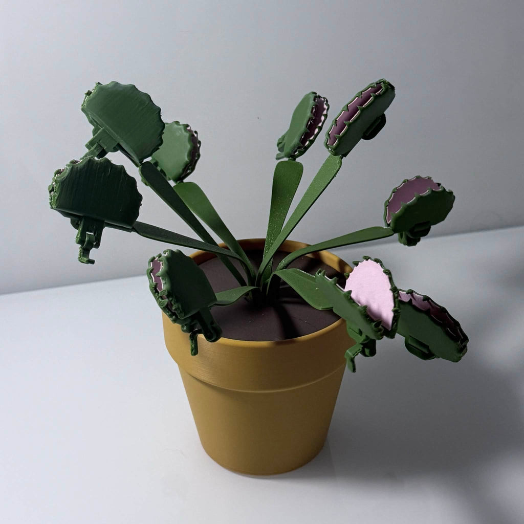 Venus fly trap plant in a gold pot with the fly traps doubling as detachable bag clips