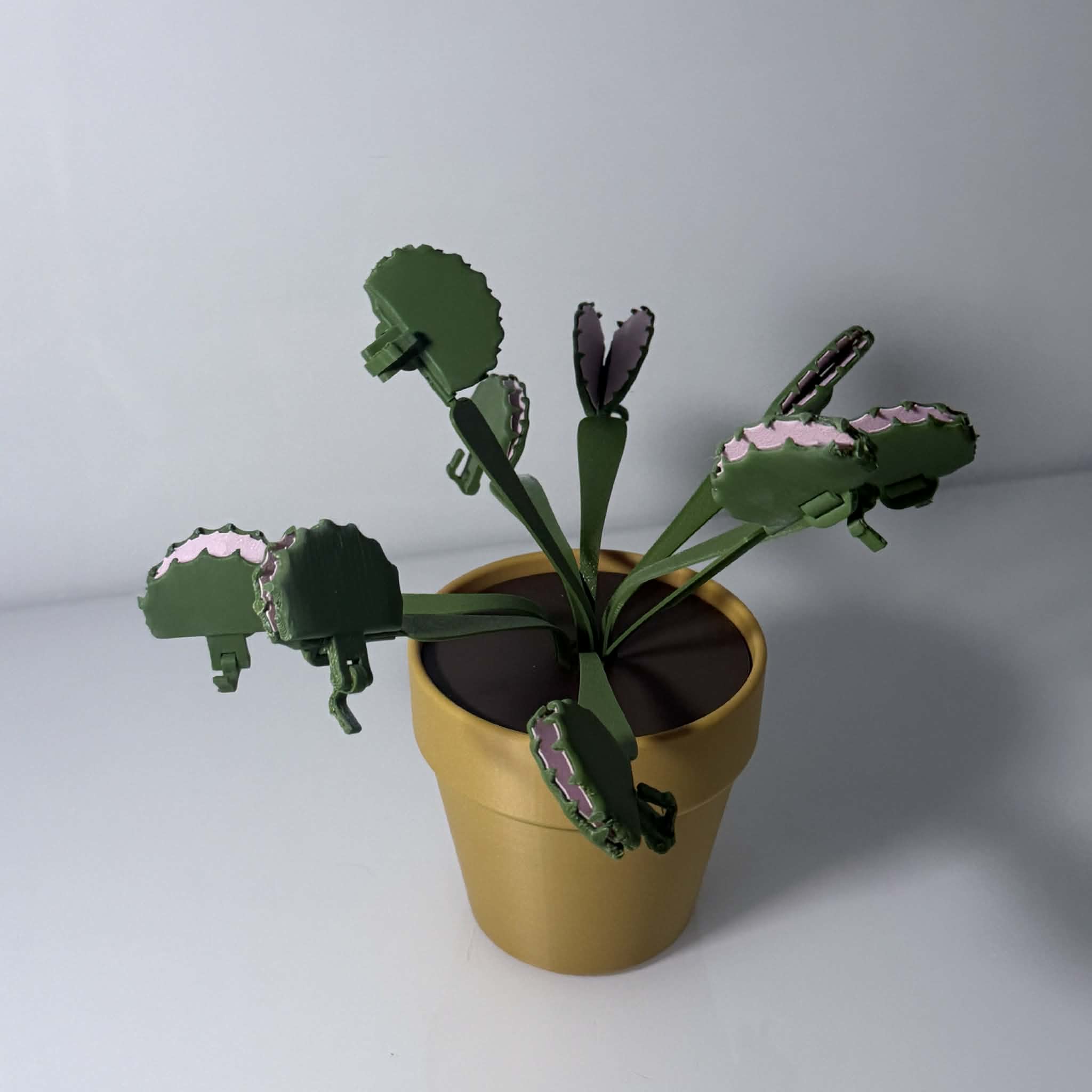 Venus fly trap plant in a gold pot with the fly traps doubling as detachable bag clips